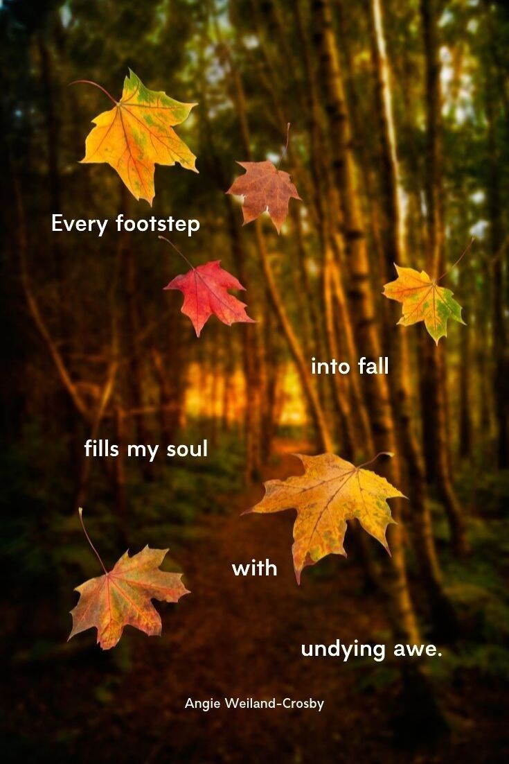 Pin By Aaron Smith On Seasonal Song Autumn Quotes Nature Quotes Beautiful Nature Quotes