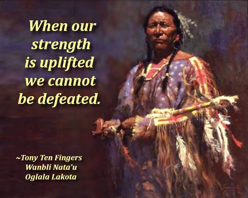 Timeline Photos One Tribe One Nation. Native american wisdom