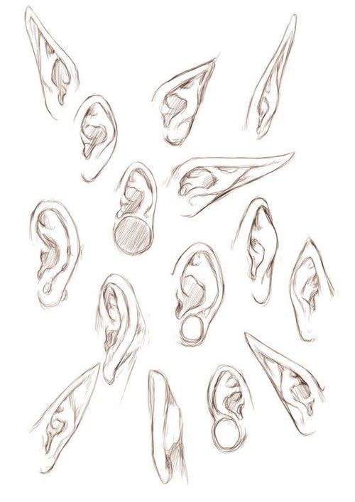 Character Anatomy | Ears Anatomy Sketches, Anime Drawings Sketches, Fantasy Drawings, Drawing Reference Poses, Art Reference Photos, Hand Covering Face Drawing Reference, Anatomy Reference, Drawing Poses, Drawing Expressions