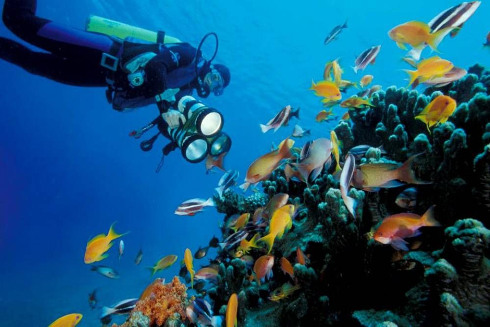 Jordan's most exciting adventures | Adventure, Sea and ocean, Travel dreams
