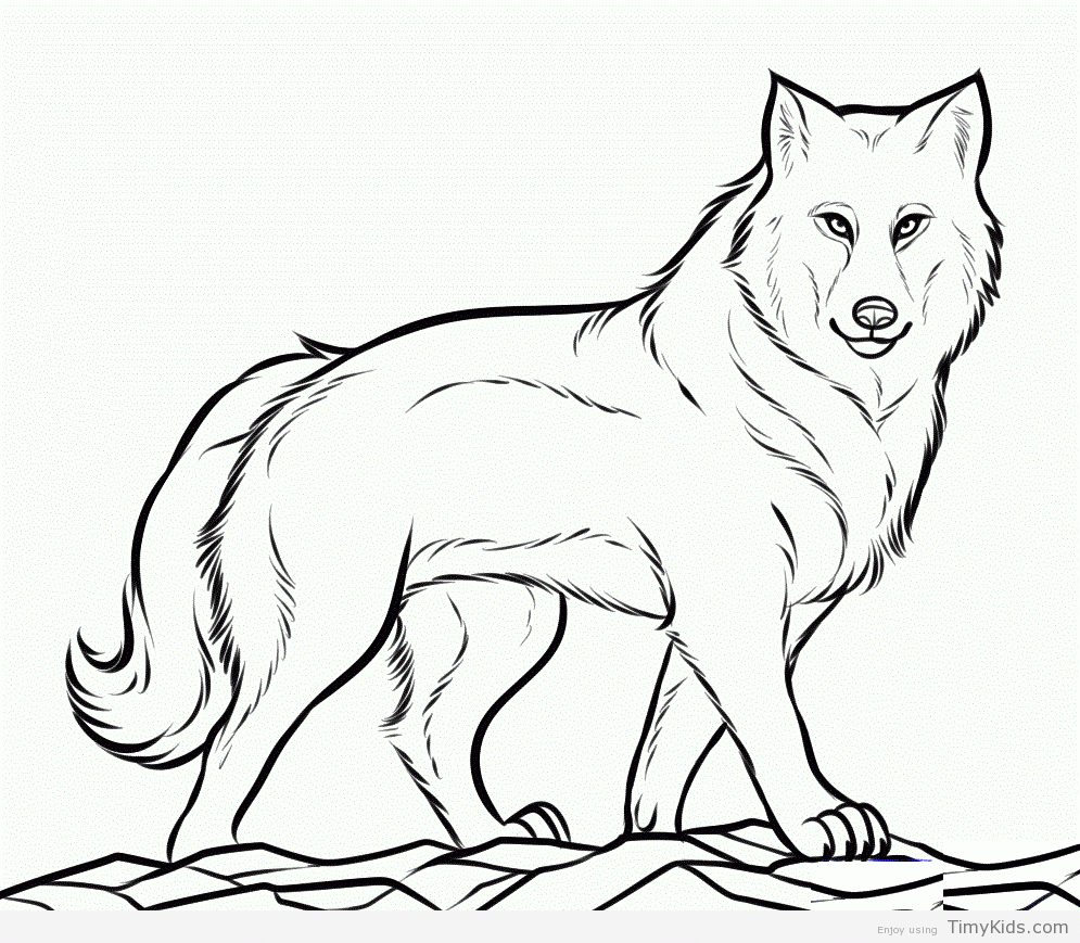 wolf coloring pictures