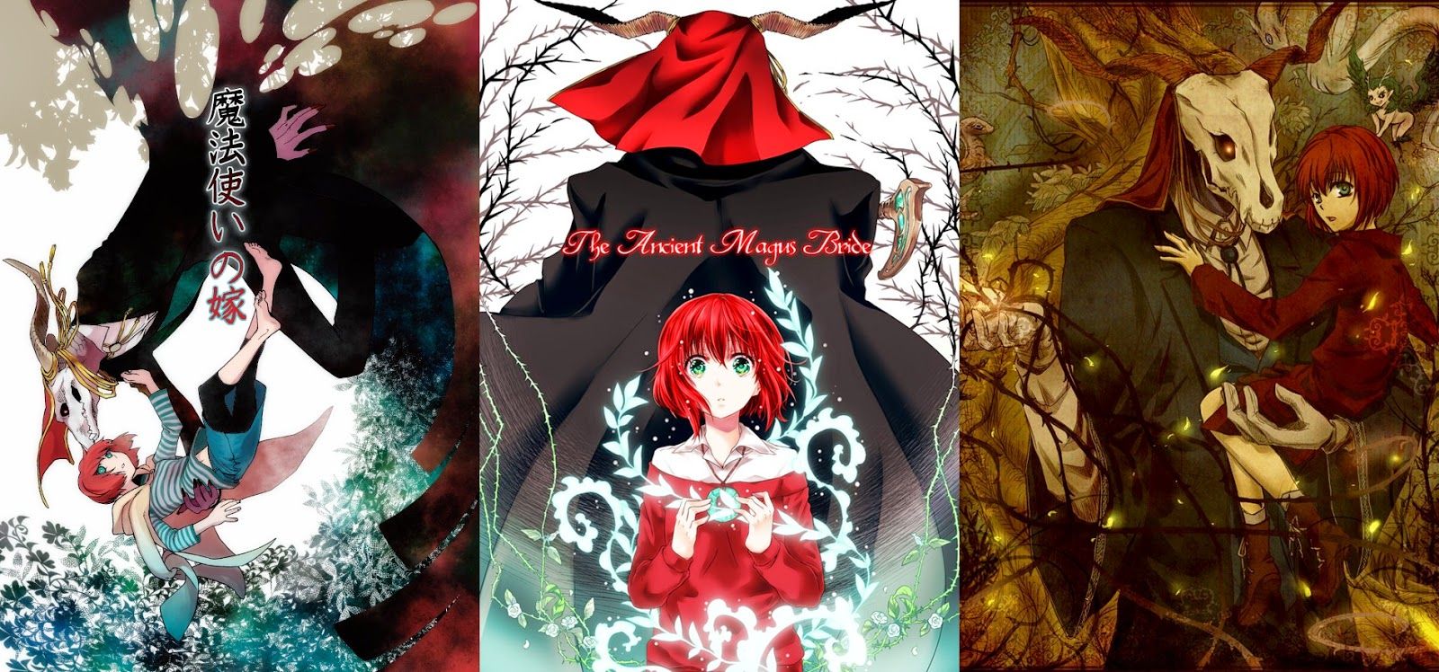 Mahou Tsukai No Yome Ellias Google Search Ancient Magus Bride Mahou Tsukai No Yome Ellias Google Search Ancient Magus Bride