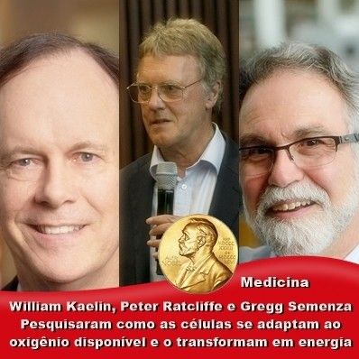 Quais são as obrigações principais e acessórias? Quais são as obrigações principais e acessórias?