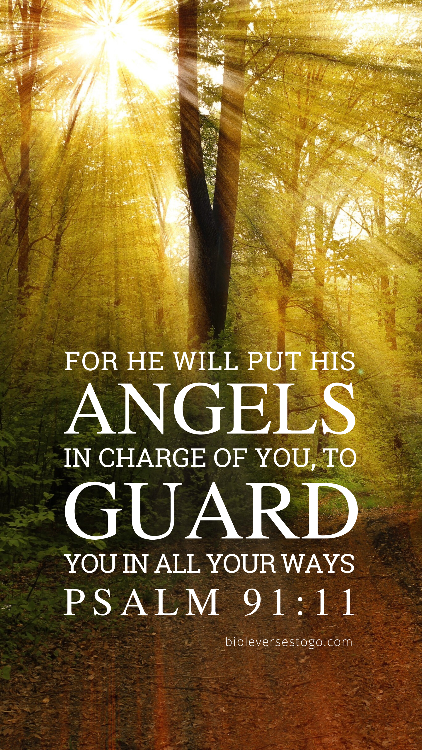 Forest Rays Psalm 91 11 In 2020 Psalm 91 11 Psalms Psalm 91 Forest Rays Psalm 91 11 In 2020 Psalm 91 11 Psalms Psalm 91