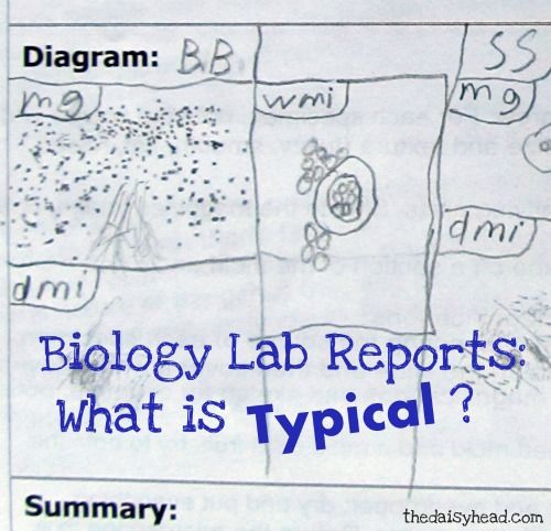 Biology lab report experts