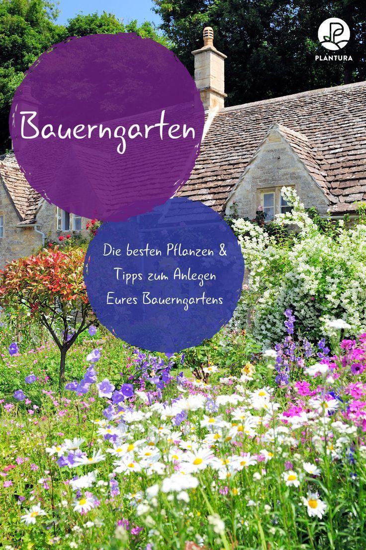 Bauerngarten: Die besten Pflanzen & Tipps zum Anlegen