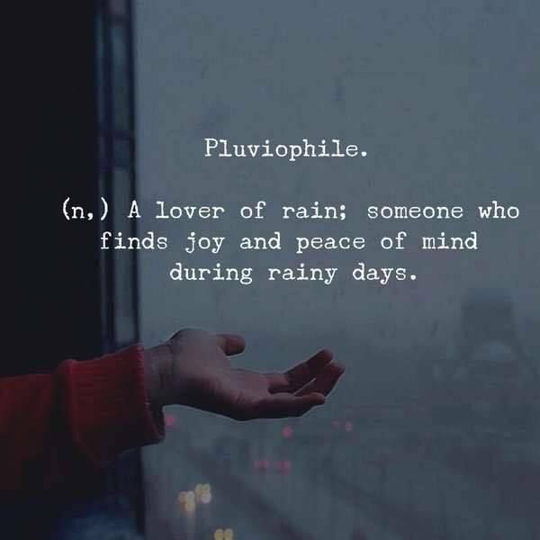 Quotes Nd Notes Photo Life Quotes Words Quotes Rainy Day Quotes