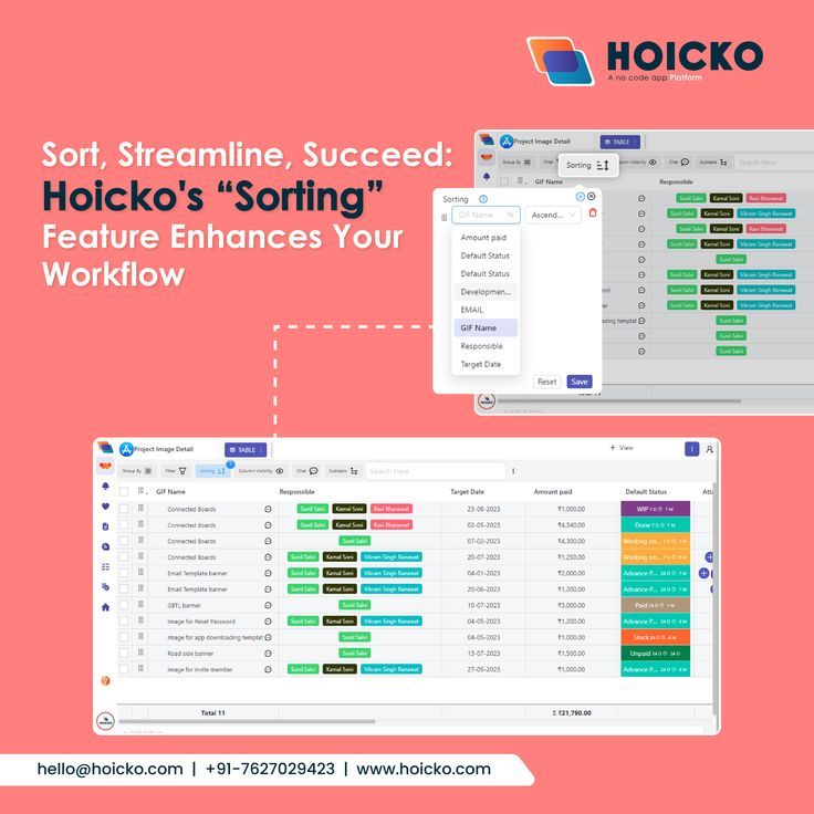 Unleash Efficiency with Hoicko's Innovative 'Sorting' Feature