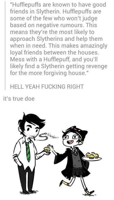 Slytherin Hufflepuff Friendship Tumblr Harry Potter Funny