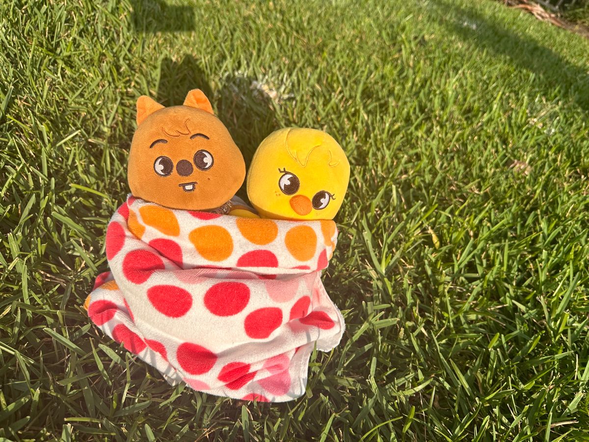 Pin On Bbokari pin-on-bbokari
