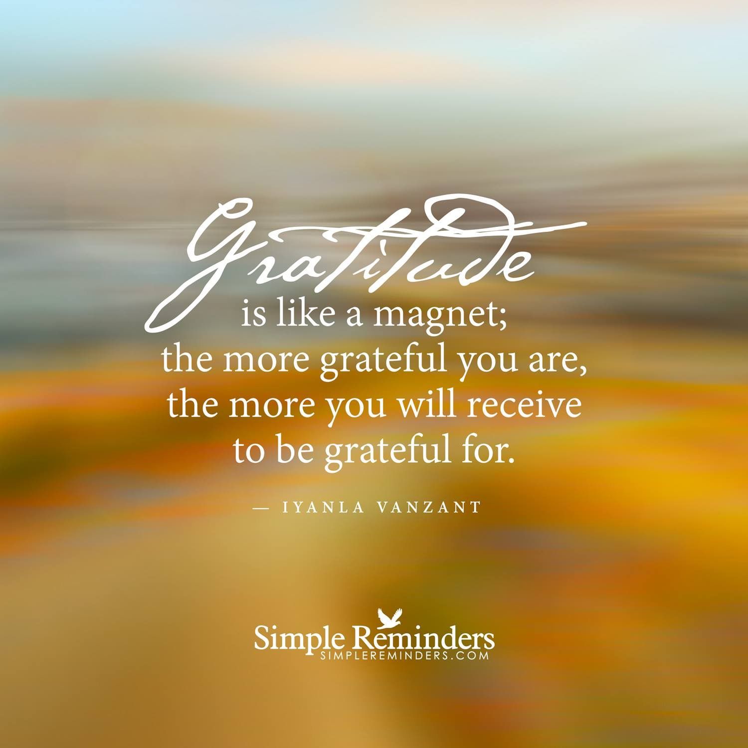 Pin by emer mcguirk on Words of wisdom | Gratitude quotes, Simple