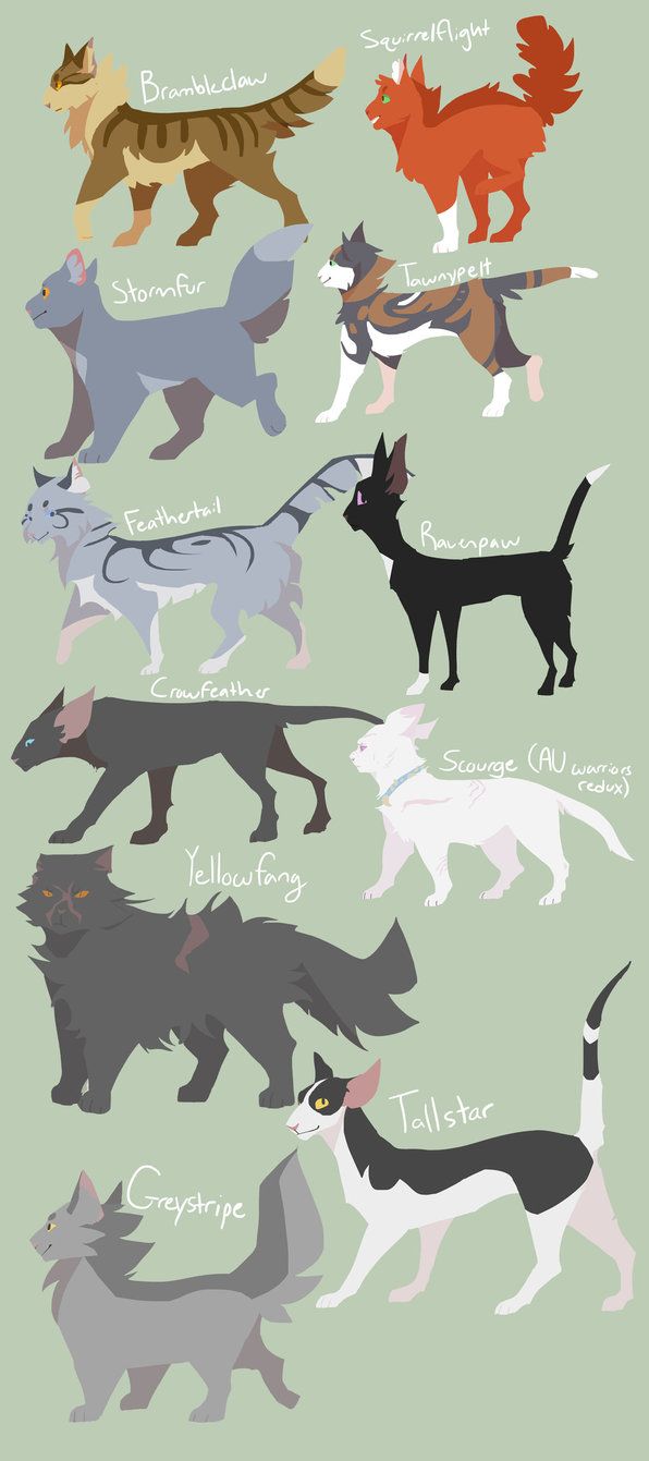 Warriors Designs by TheWisestDino.deviantart.com on @DeviantArt Warrior Cats Comics, Warrior Cat Memes, Warrior Cats Series, Warrior Cats Books, Warrior Cats Fan Art, Warrior Cat Drawings, Warrior Cats Art, Cat Comics, Warrior Cats Scourge