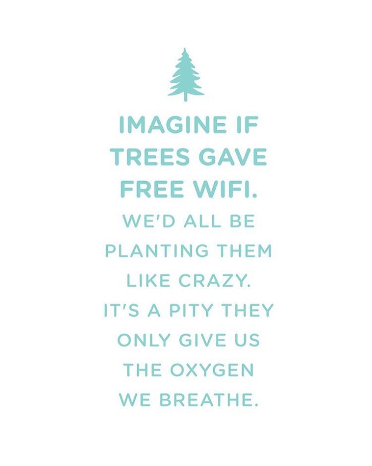Earth Quotes Unique Pin By Dorothy Dupuy On Quotes Pinterest Earth Happy Earth And Earth Quotes Unique Pin By Dorothy Dupuy On Quotes Pinterest Earth Happy Earth And