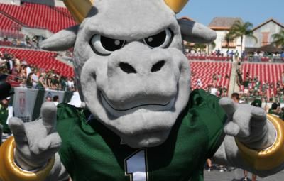 The Story Behind Rocky The Bull Usf Football University Of