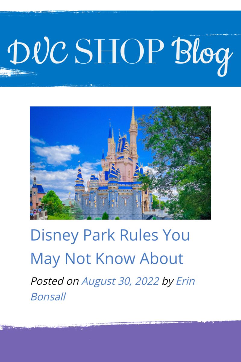 Disney Park Rules You May Not Know About Artofit disney-park-rules-you-may-not-know-about-artofit