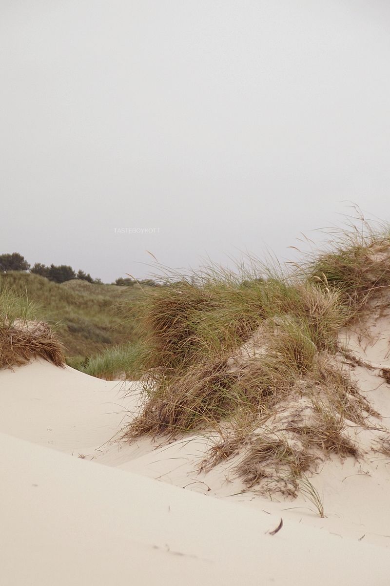 Amrum 2 Boardwalks View Dune Beach Norddorf Amrum Beach