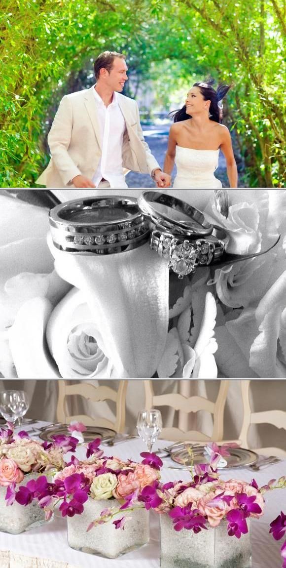 Turn Your Dream Wedding And Party Into A Reality With Lana Brown Turn Your Dream Wedding And Party Into A Reality With Lana Brown Events Llc This
