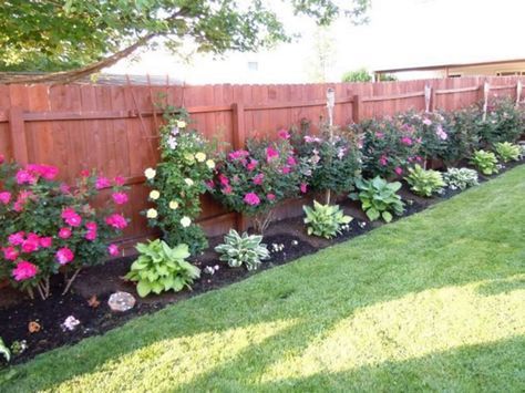 Backyard Privacy Fence Landscaping Ideas On A Budget 281 – Goodsgn | Privacy Fence Landscaping, Landscaping Along Fence, Fence Landscaping