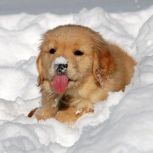 THIS LADY WHO IS JUST SO CUTE YOU MIGHT GO INTO A TINY RAGE SPIRAL.