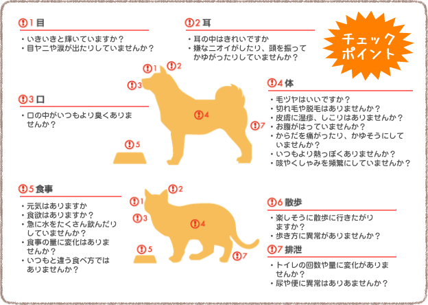 ペットクリニックハレルヤ 動物病院 福岡 ペットの健康 ペット 病院