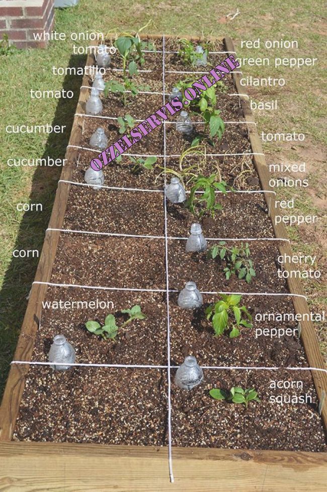 Easy Steps To Square Foot Gardening Success | Square foot gardening, Garden beds...