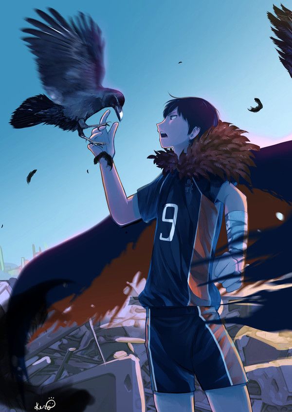 this is really cool ハイキュー 綺麗なイラスト pinterest