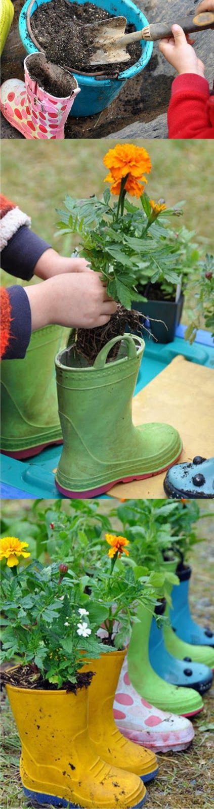 Pin On Gardening