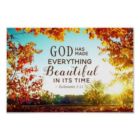 Ecclesiastes 3:11 He has made everything beautiful Poster | Zazzle.com