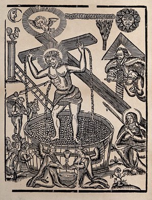 Christ in the Winepress, with the Virgin of Sorrows and the Instruments of the Passion. Woodcut after H.J. Wierix, ca. 1700. | Wellcome Collection Wellcome Collection, Free Museums, Rebellion, Sorrow, Woodcut, Virgin, Bacon, Christ, Instruments