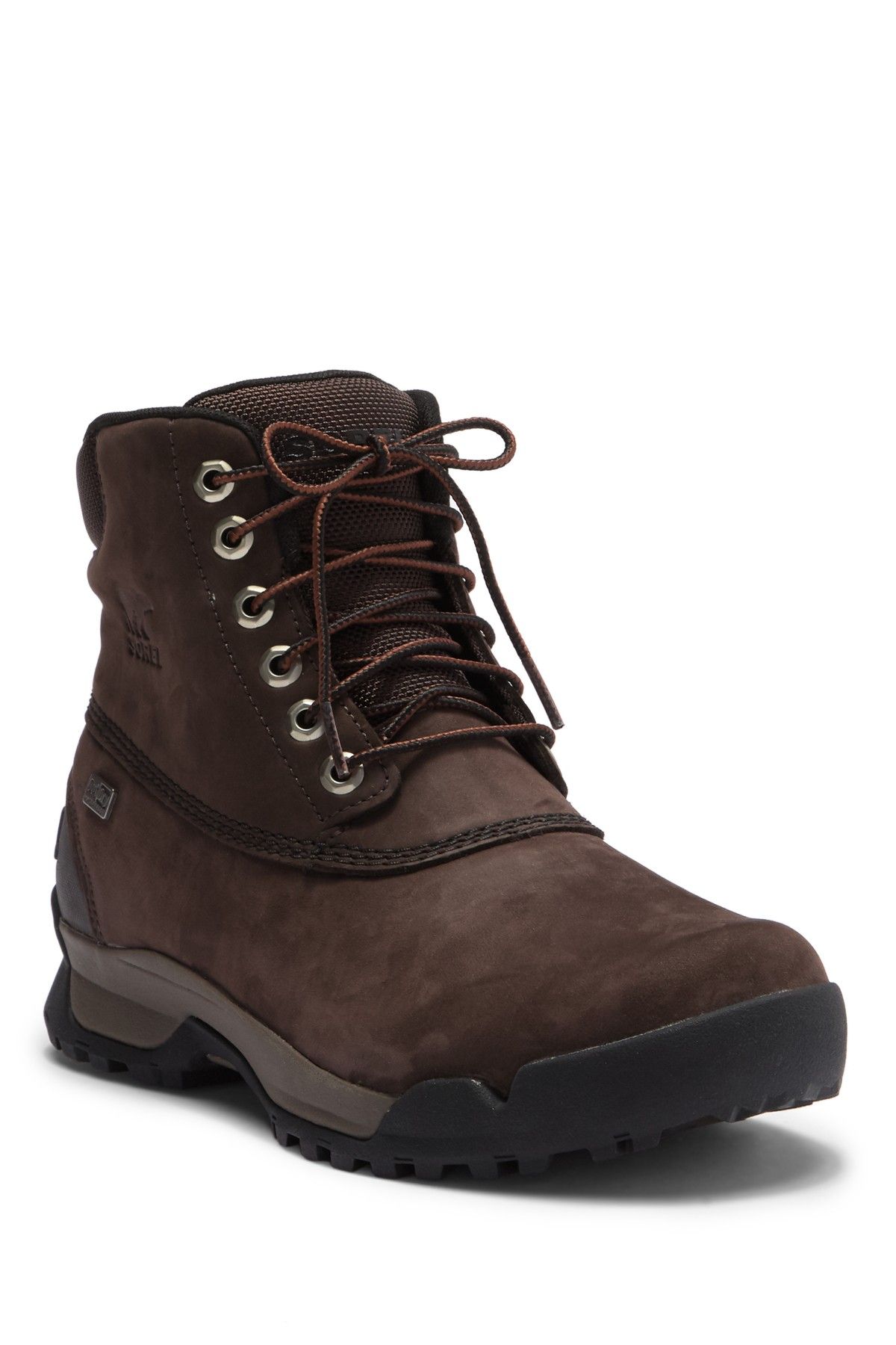 sorel paxson 6