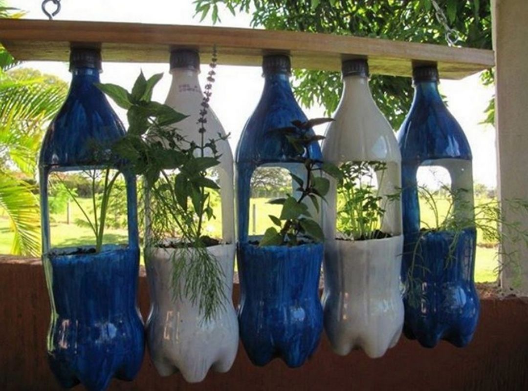 8 Stunning DIY Bottle Plant Design Ideas You Have To See It