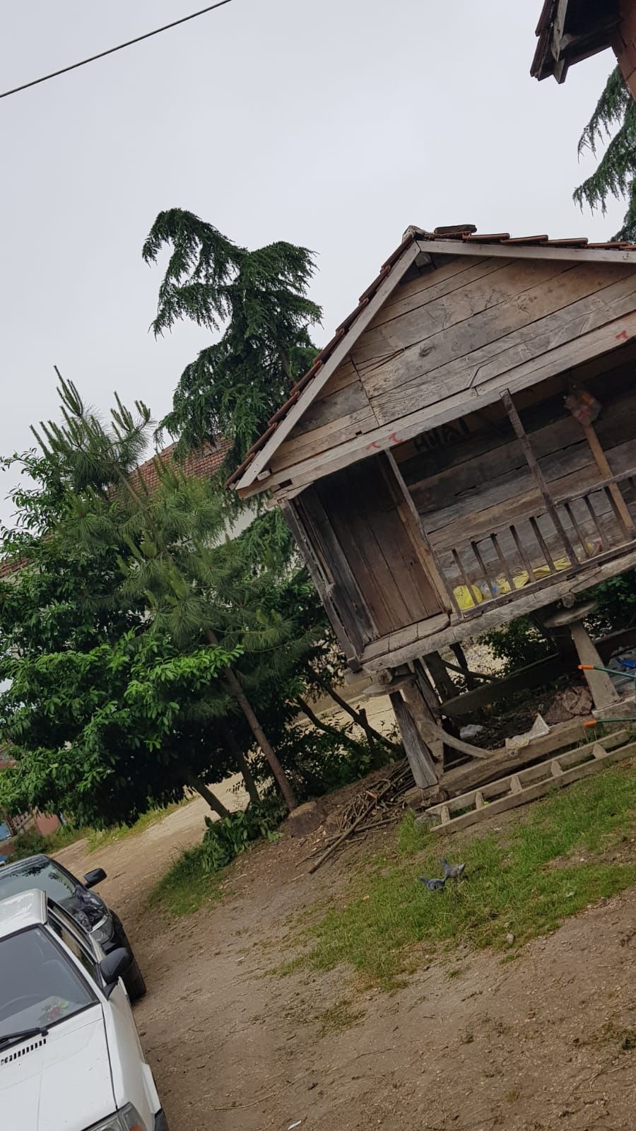Karadeniz Ordu Ordu Bar