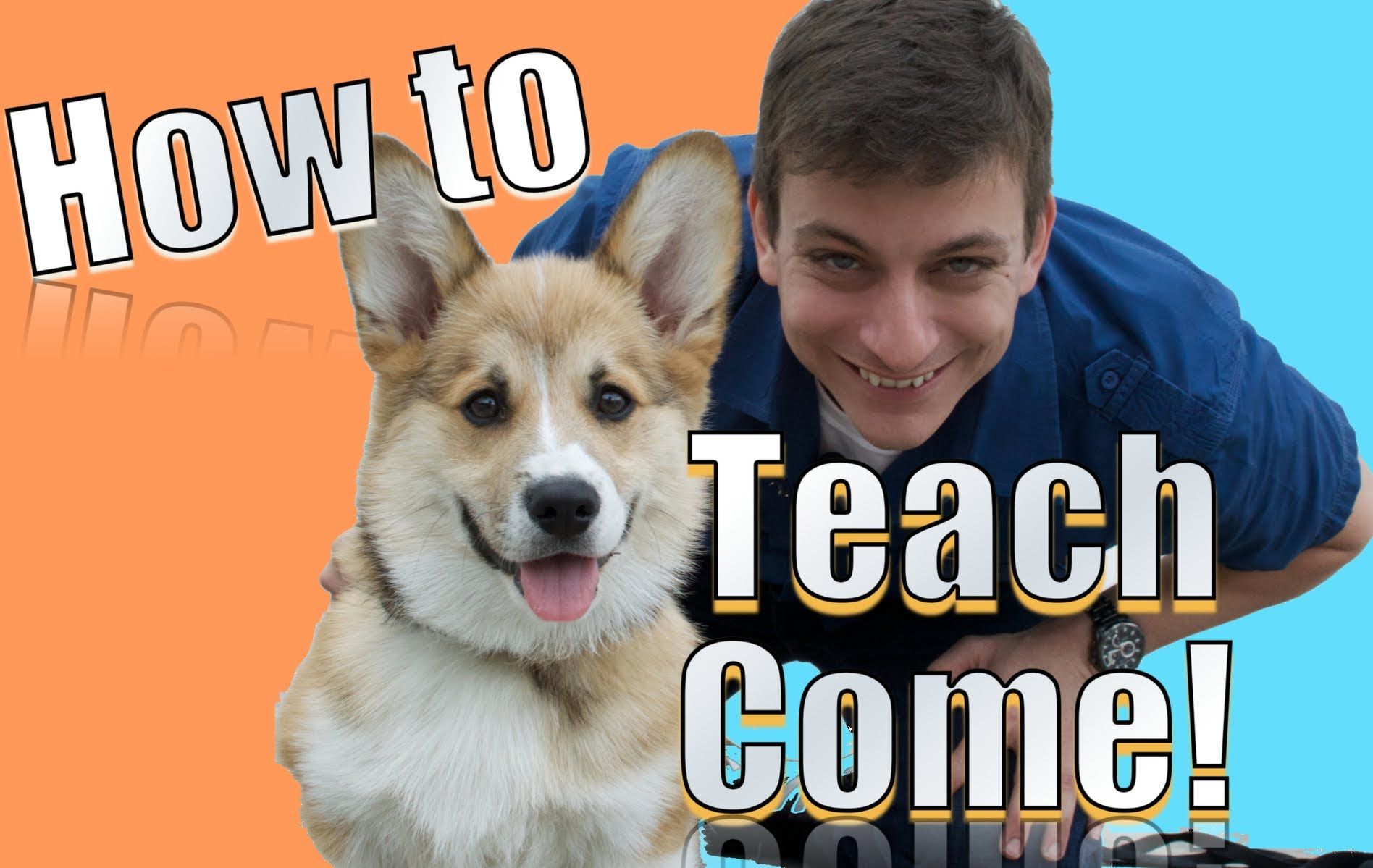How To Teach Come The FASTEST Way To Teach YOUR DOG To COME WHEN How To Teach Come The FASTEST Way To Teach YOUR DOG To COME WHEN