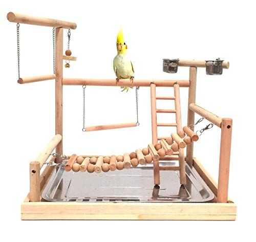 Woodenstablesturdythe Mrli Pet Parrot Playstand Is Made Of Woodand All The Parts Are Connected With Screws Not Gluethis Waythe Bird Play Gym Is More Sturdy And More Stablesafe Durable High Qualityour Bird Play Stand Is Totally Handmadeno Any Toxic Materialsthe Wood Bar Doesnt Paint Poisonous Pigment Or Anything Elsejust Keep Natural And Originalplz Noteyou Need To Assemble The Bird Stand By Yourself And The Assembling Picture Is In The Packagesuitable For Parakeets African Grey Conures Cockatiel Cockatoo Toys, Budgie Toys, Parrot Toys, Diy Bird Toys, Diy Birds, Homemade Bird Toys, Budgies Bird, Cockatiel, Parakeets