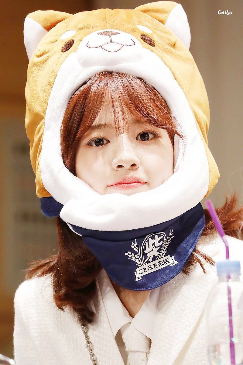 ahn yujin pics ahnyujinpics twitter jins lee ahn yujin pics ahnyujinpics twitter jins lee