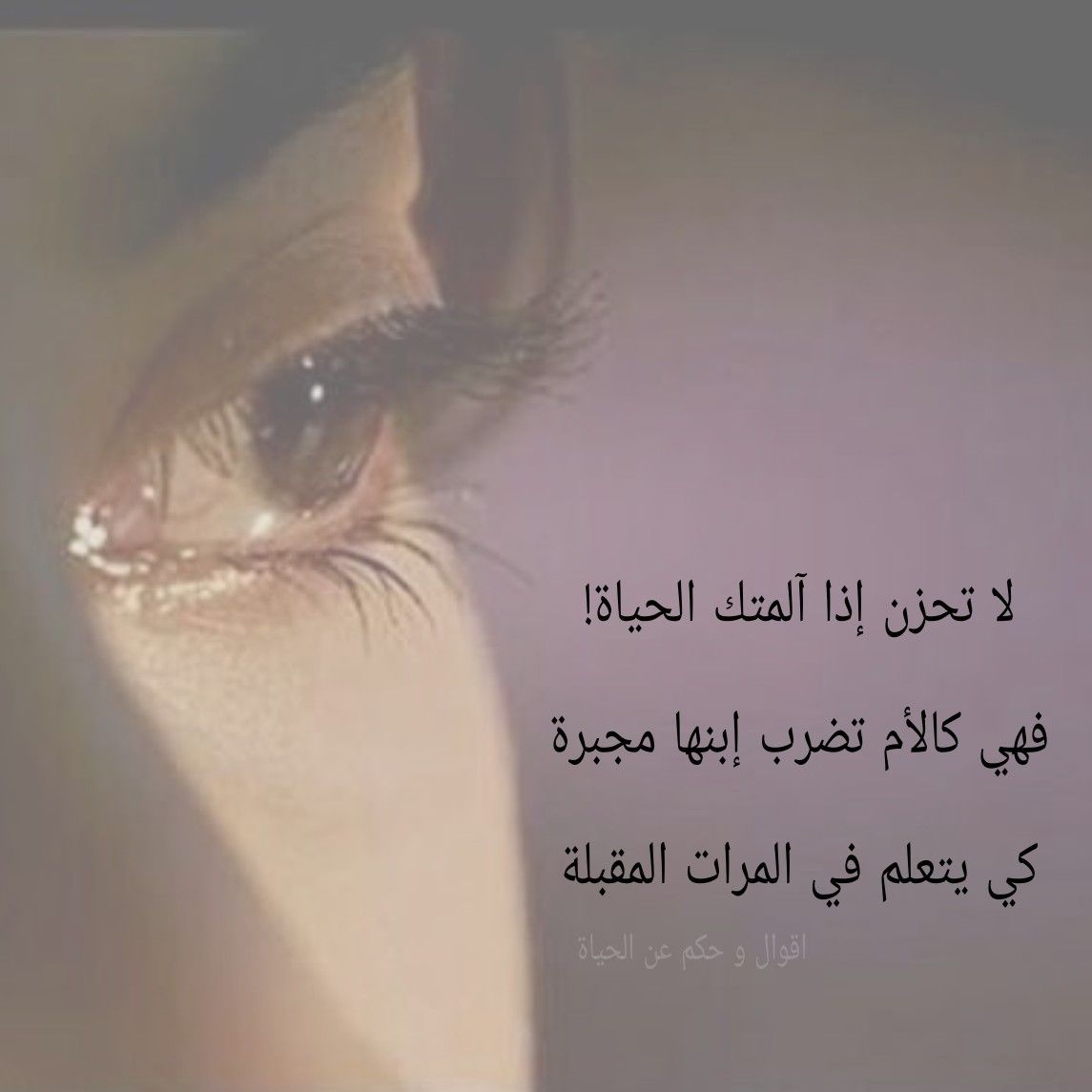 Pin By The Noble Quran On I Love Allah Quran Islam The Prophet Miracles Hadith Heaven Prophets Faith Prayer Dua حكم وعبر احاديث الله اسلام قرآن دعاء Movies Movie Posters Poster