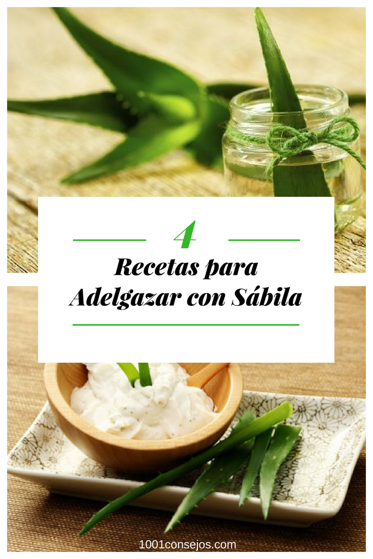 sabila para adelgazar preparacion de ceviche