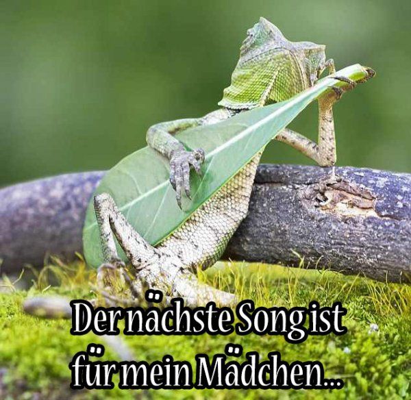 Lustige bilder partnersuche