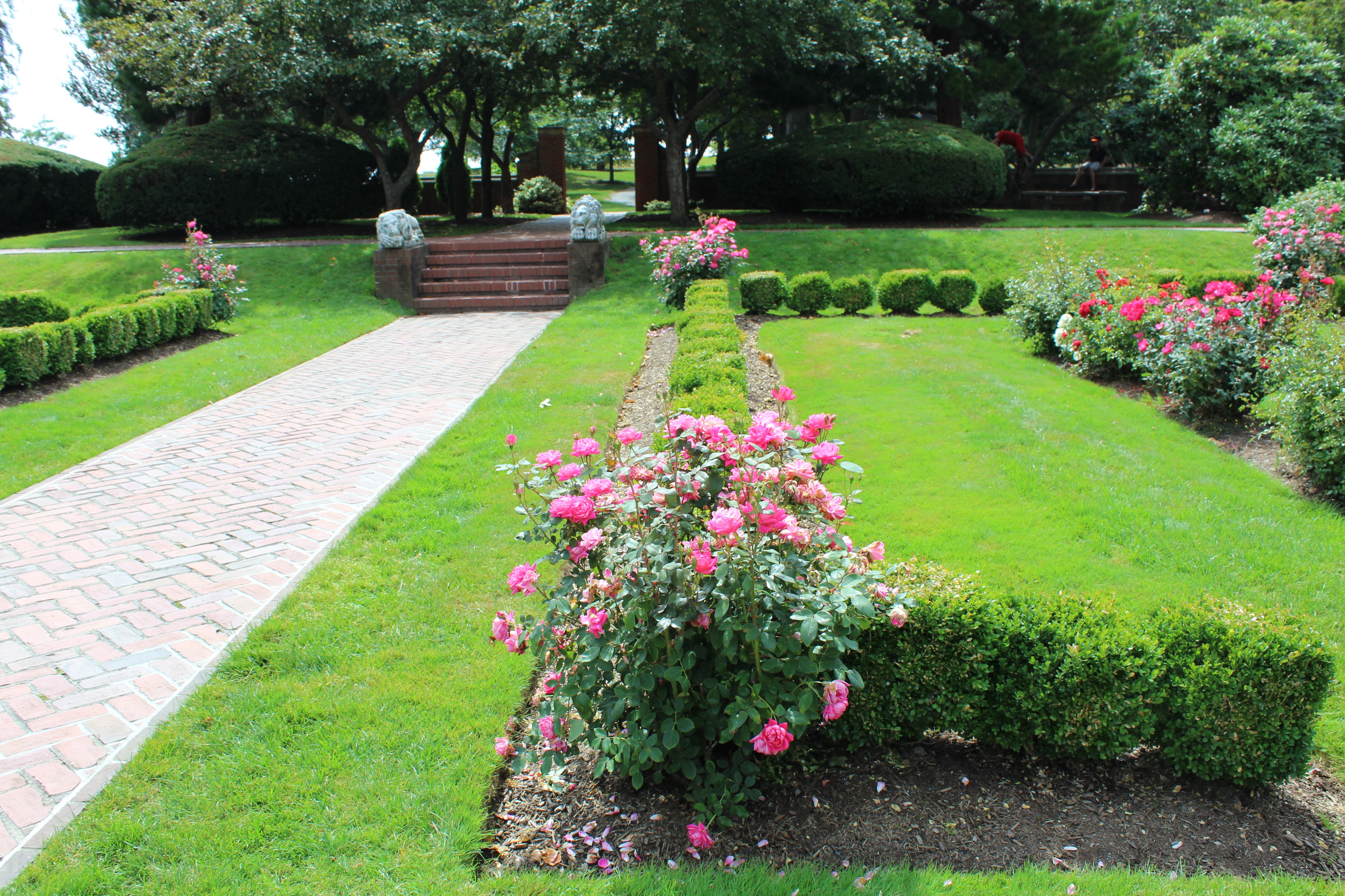 Rose Garden rosegarden gardentalk Garden, Rose garden, Outdoor