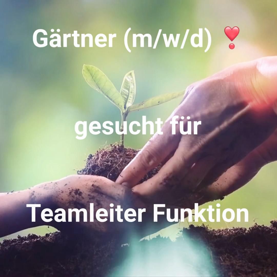 Qualifikationsprofil Zur Initiativbewerbung Vorlage Vorlagen Lebenslauf Bewerbung Lebenslauf