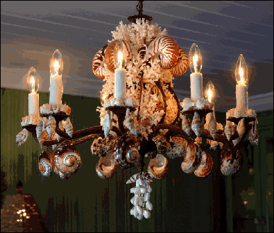 South African Chandelier | Nautical chandelier, Sea shell South African Chandelier | Nautical chandelier, Sea shell