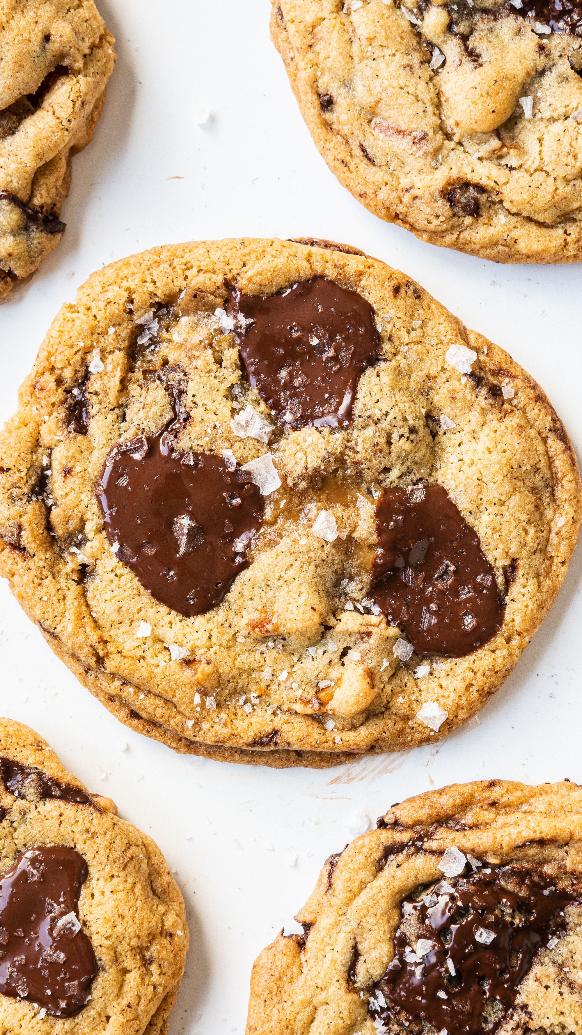 Can You Replace Butter With Oil In Chocolate Chip Cookies The Perfect Chocolate Chip Cookie Recipe Perfect Chocolate Chip Cookies Chocolate Chip Cookies Cookie Recipe With Oil