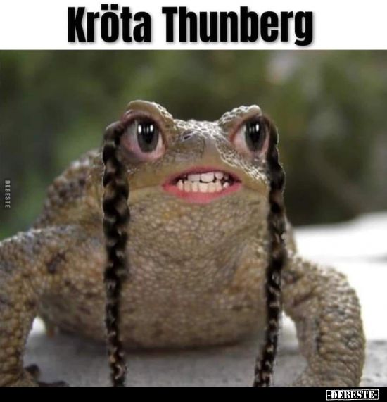 Kröta Thunberg.