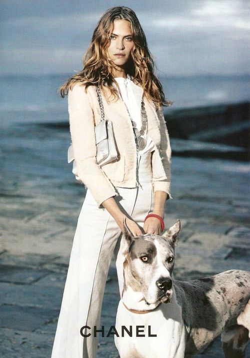 Theyallhateus Karl Lagerfeld Photography Theyallhateus Catherine Mcneil