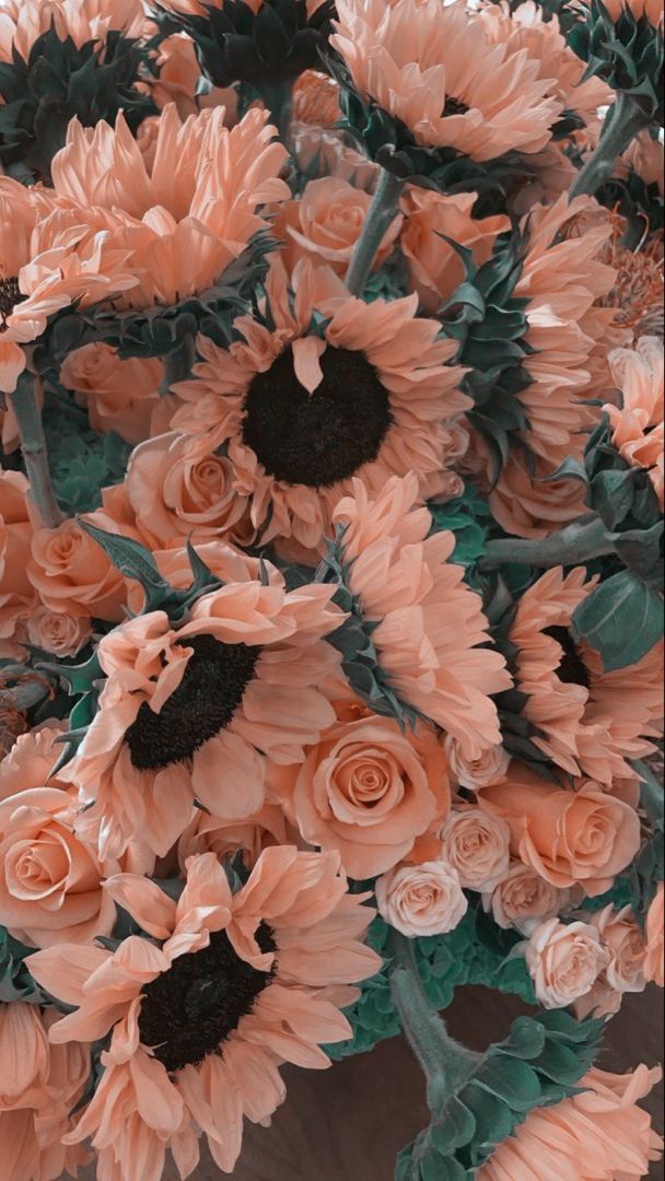 Edited by AirBrush App - Filter FJ-1 #AirBrush #photoeditor #retouch #filter #photography #lifestyle #lifestyle #highlights #filtershadows #minimalist #minimal #aesthetic #instagram #inspiration #wallpaper #wallpaperideas #wallpaperforyourphone #aesthetic #aestheticedits #aesthetictumblr #edit #editorial #editing #aestheticwallpaperiphone #flower #floral #nature Wallpaper For Your Phone, Minimal Aesthetic, Exotic Flowers, Airbrush, Retouching, Photo Editor, Aesthetic Wallpapers, Sunflower, Filter