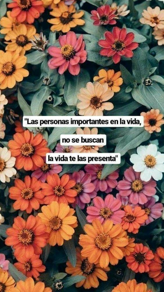 Pin by Angie💙 on Spanish quotes | Cute quotes, Words quotes, Spanish quotes