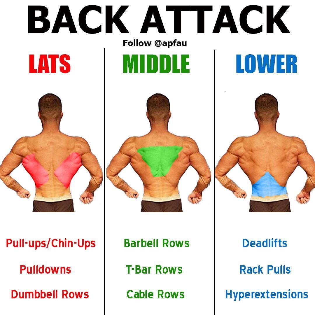 What Are The Most Beneficial Back Exercises Here s 8 Strengthening 