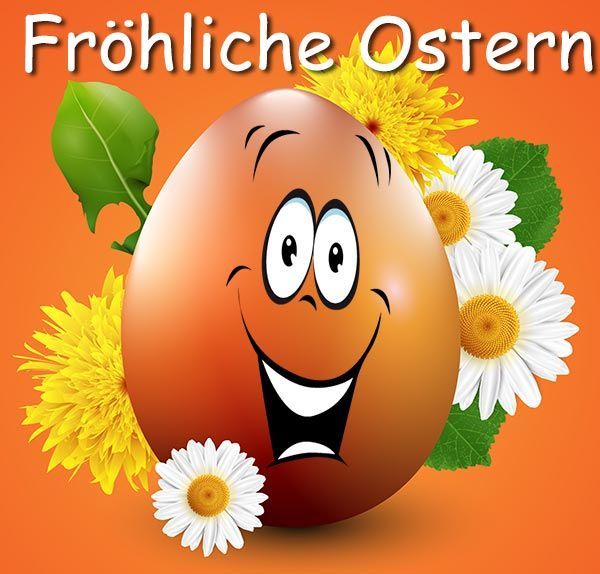 Küken bilder lustig