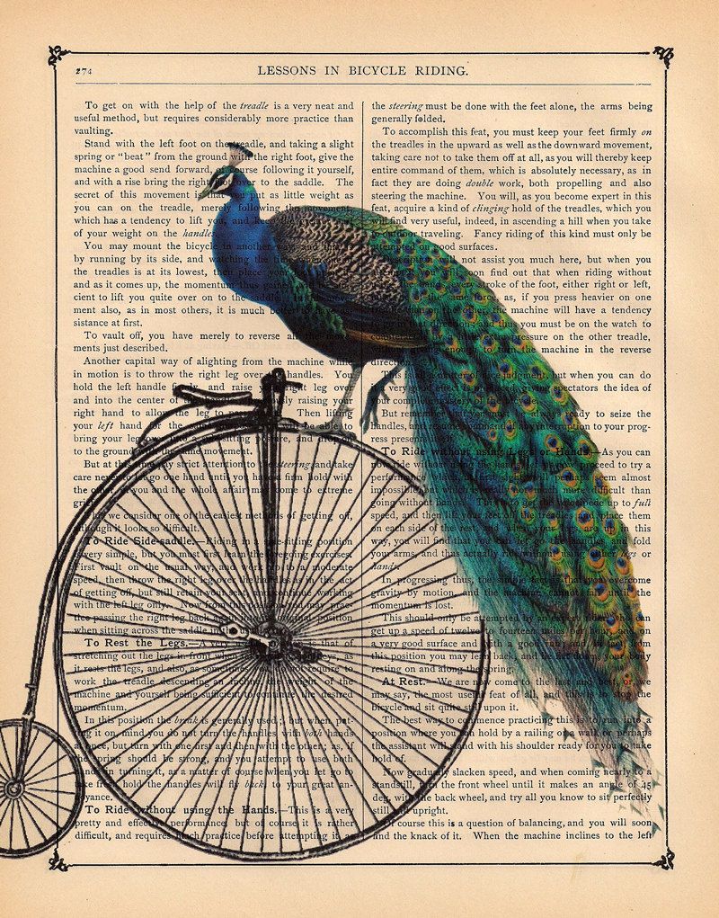 Vintage Peacock Penny Farthing Print Dictionary Page Wall Art Picture Bicycle Bird