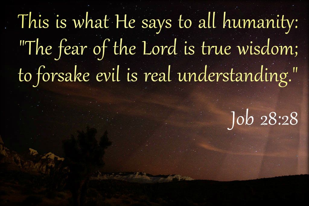 Job 2828 Scripture verses, Faith scripture, Wise quotes